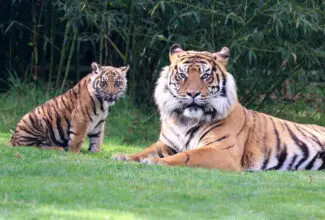 Zoo de Champrepus