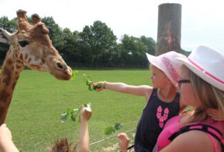 Zoo de Cerza