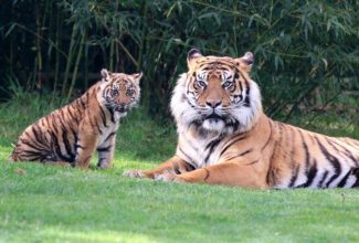 Zoo de Champrepus